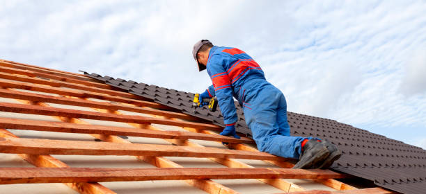Best Roof Replacement  in Milton, DE